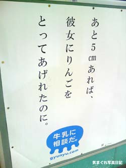 20060829milk01lm.jpg