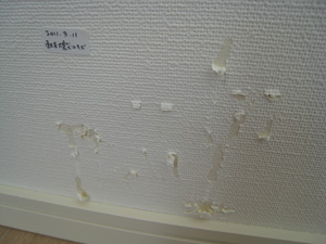 20110712_6815.jpg