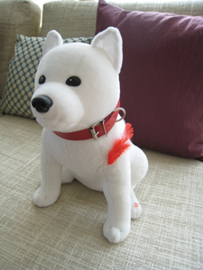 20111003_8226.jpg