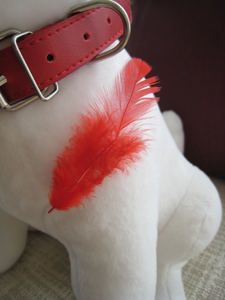 20111003_8227.jpg