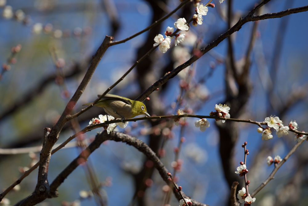 20170216_5259.jpg