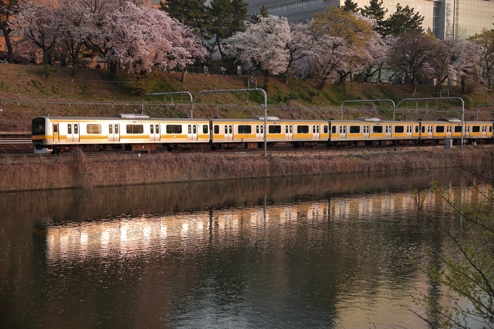 20180329_9484.jpg