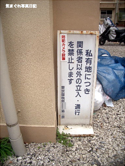 shiyuchilm.jpg