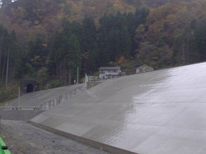 0320141101_0801tm.jpg