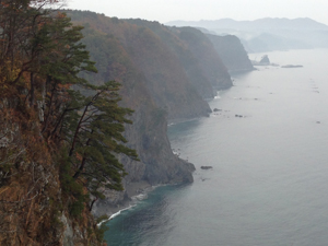 0420141101_6517m.jpg