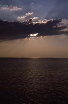 198408h_saromanm.jpg