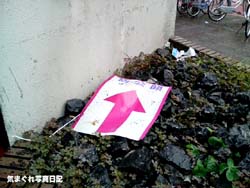 20060721hatsu0lm.jpg