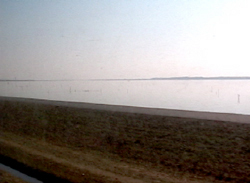 20070212kashi03.jpg