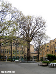 20070331keio_1299m.jpg