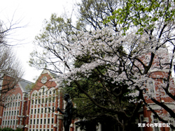 20070331keio_1314tm.jpg