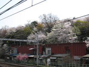 20070401_1455.jpg