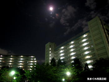20070925_4568meigetsum.jpg