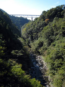 20071028_4993.jpg