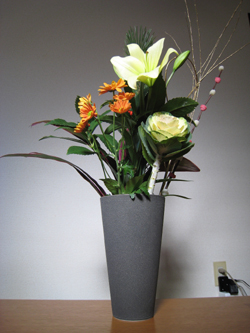 20080101_hana5589m.jpg