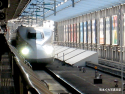20080110_n7005623.jpg