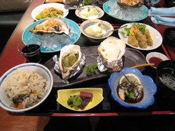 20080202_kodama5740.jpg