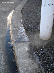 20080213_5767m.jpg