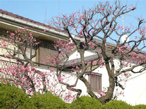 20080220_P1010546.jpg