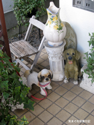2008030X_wan5871.jpg