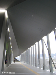 20080329_r6183.jpg
