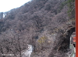 20080405taruT1tm.jpg