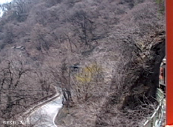 20080405taruT3tm.jpg