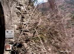 20080405taruT4tm.jpg