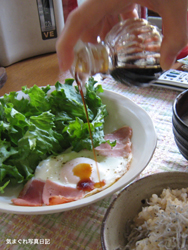 20080430_soy6438.jpg