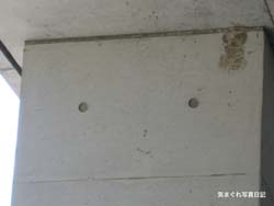 20080503_6583.jpg