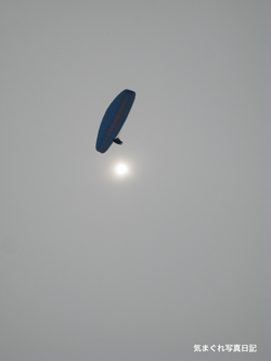 20080602_7124.jpg