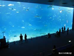 20080629_7401.jpg