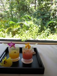 20080630_7483.jpg