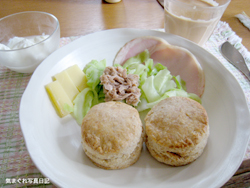 20080915_8198.jpg