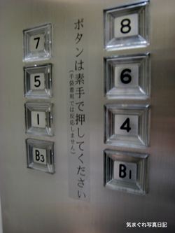 20080920_8224.jpg
