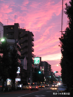 20081011_8348.jpg