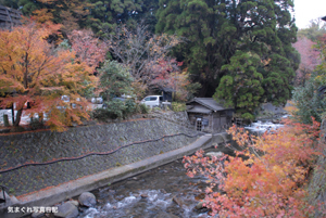 20081115_2112.jpg