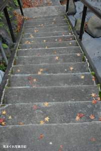 20081115_2118.jpg