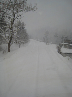 20090208_9772.jpg