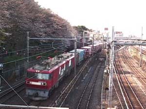 200903291509.jpg
