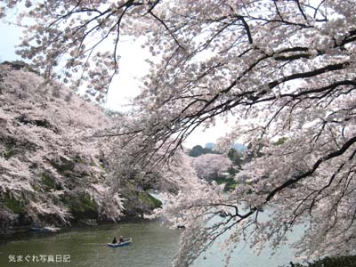 20090406_0463.jpg