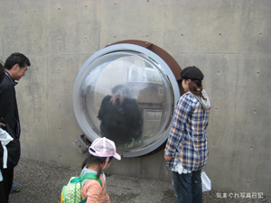 20090613_1599.jpg
