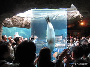 20090613_1686.jpg