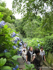 20090624_1939.jpg