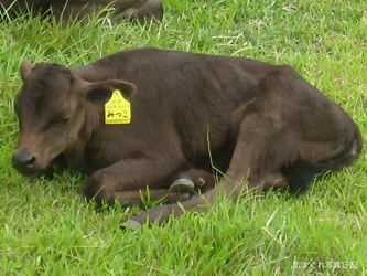 20090627_2104.jpg