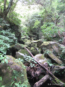 20090627_2182.jpg