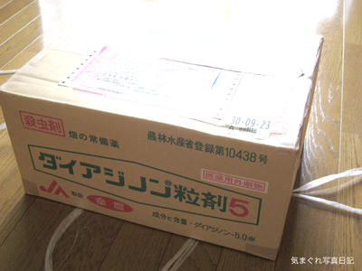 20090812_2784.jpg