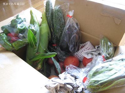 20090812_2787.jpg