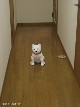 20091030_3307.jpg
