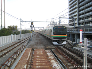 20100322_4363.jpg