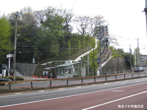 20100418_4597.jpg